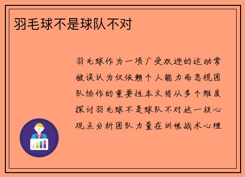 羽毛球不是球队不对