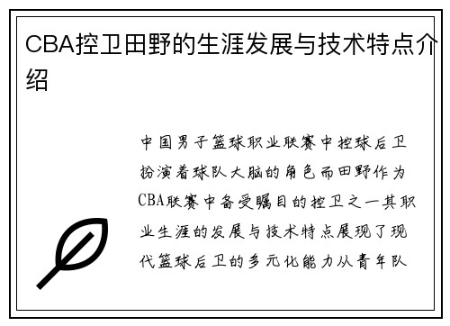 CBA控卫田野的生涯发展与技术特点介绍