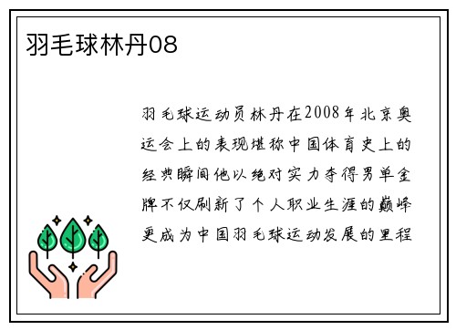 羽毛球林丹08