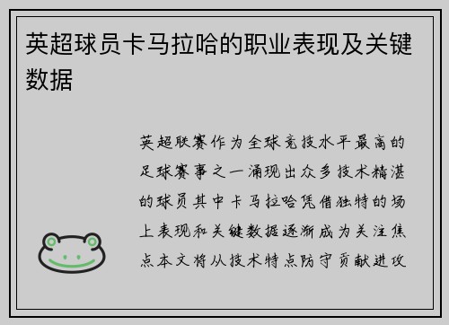 英超球员卡马拉哈的职业表现及关键数据